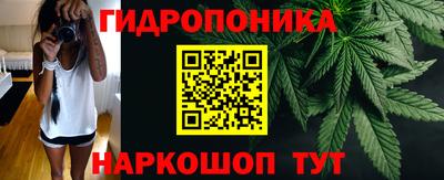 прущие крисы Кулебаки