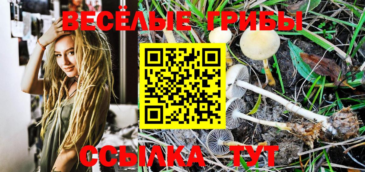 Галлюциногенные грибы Cubensis Долгопрудный