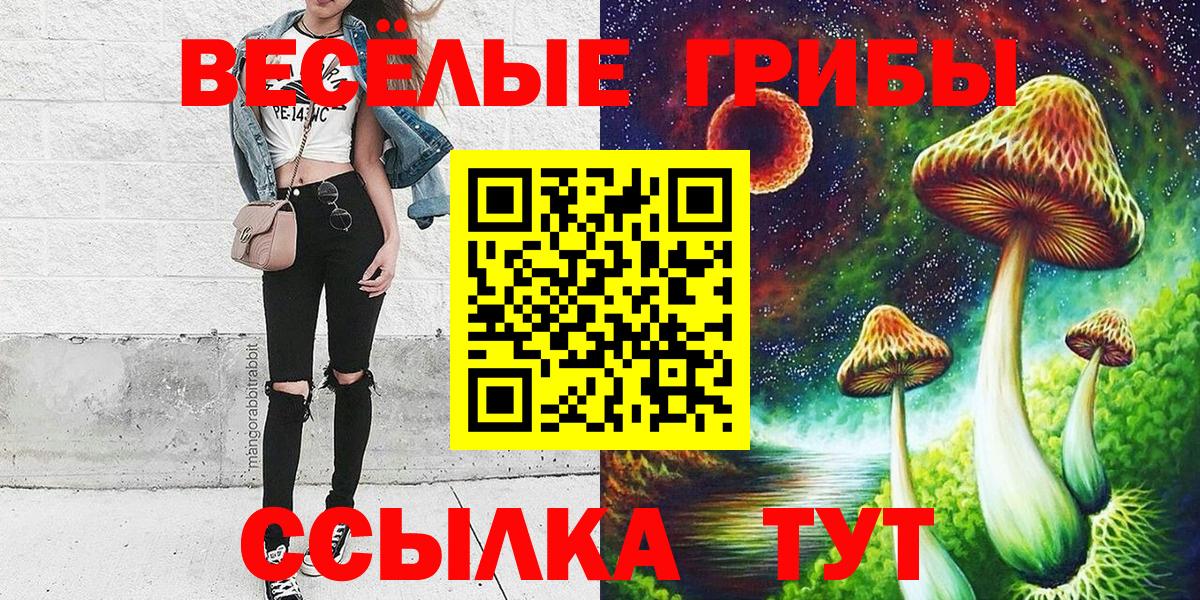 Галлюциногенные грибы мицелий  Псилоцибиновые грибы GOLDEN TEACHER  Долгопрудный  Вход с VPN 